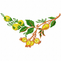 Lemons Embroidery Design 12